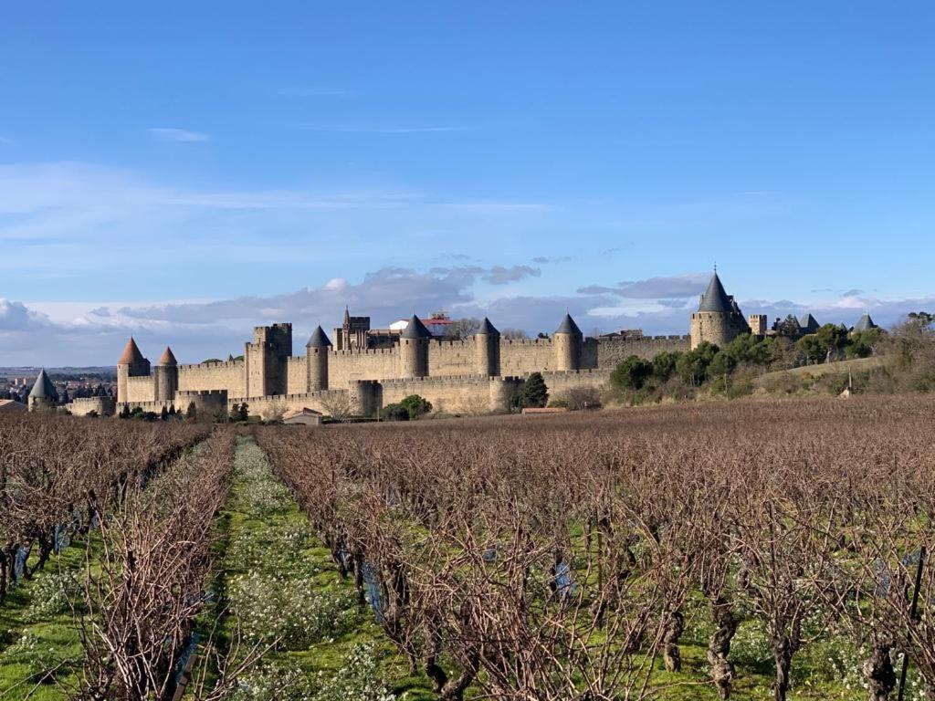 La Cour Carree - Chambres D'Hotes Carcassonne Bagian luar foto